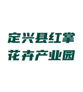 平谷定兴县红掌花卉产业园